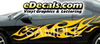 Accent Decal kits