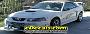 Customer Car Graphics